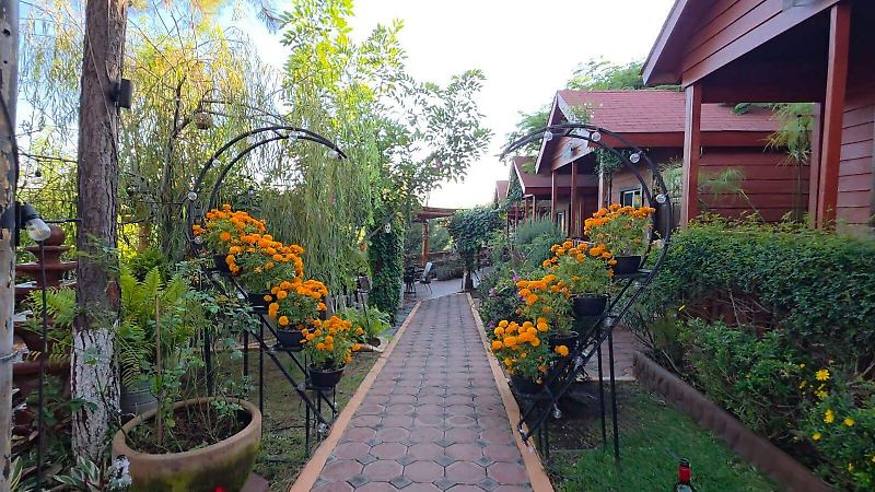 Xochitlán, Yecapixtla (4)